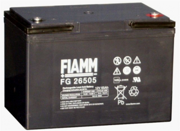 Fiamm FG 26505 (FG26507) Blei-Vlies 12V 65,0 Ah M5 VDS Zulassung