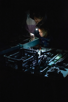 Preview: Led Lenser P6 Core inkl. 3x AAA Batterien