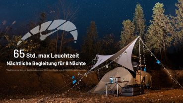 Nitecore Pro Campinglaterne LR40 - oliv