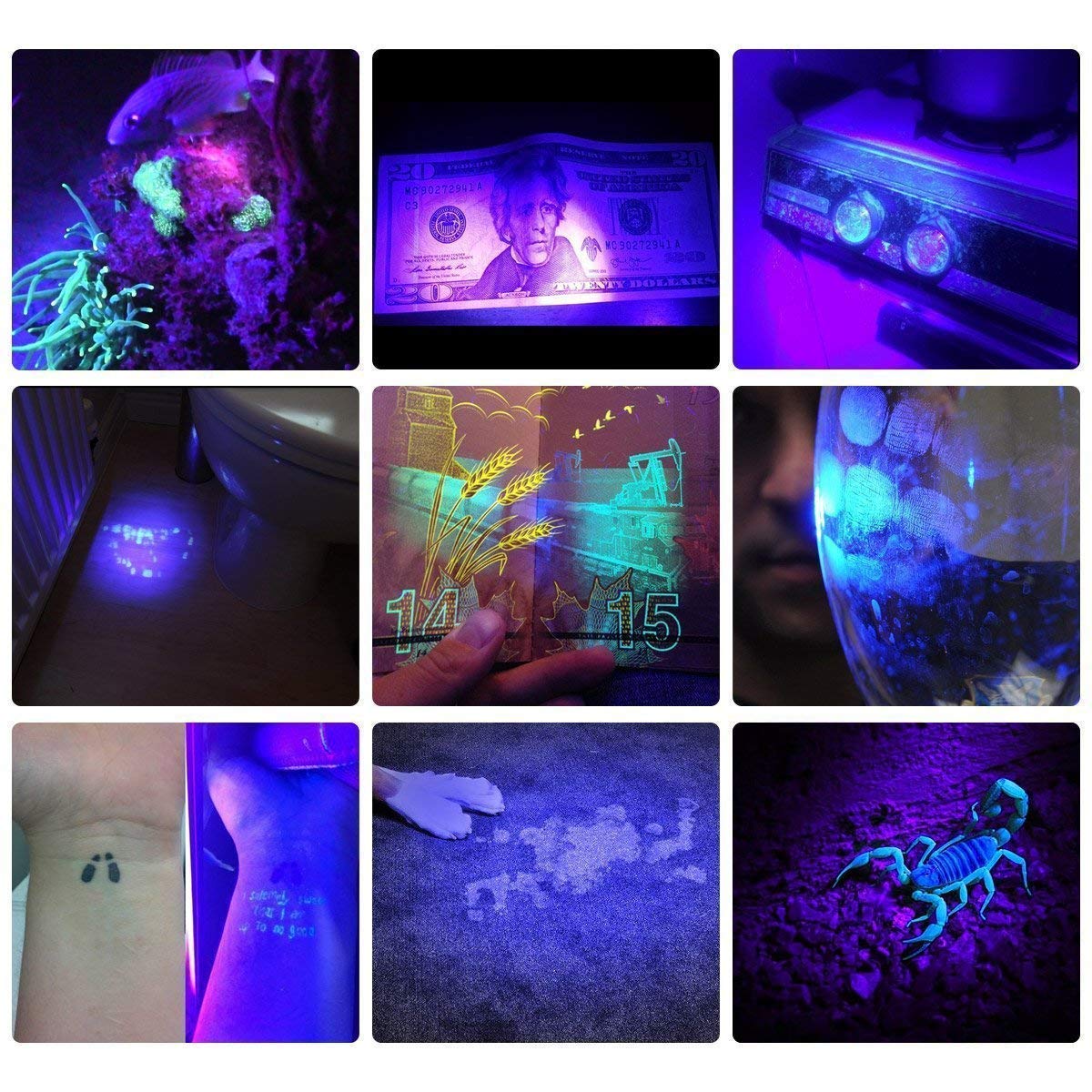 21 LED 150 Lumen spritzwassergeschützt Ufi Pro UV Taschenlampe WF-201 Explorer 