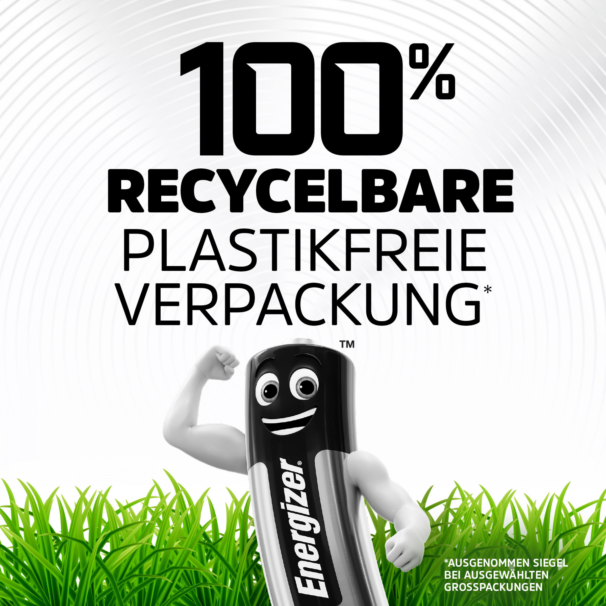 Energizer Ultimate Lithium AA L91 1,5 V 10er Pack