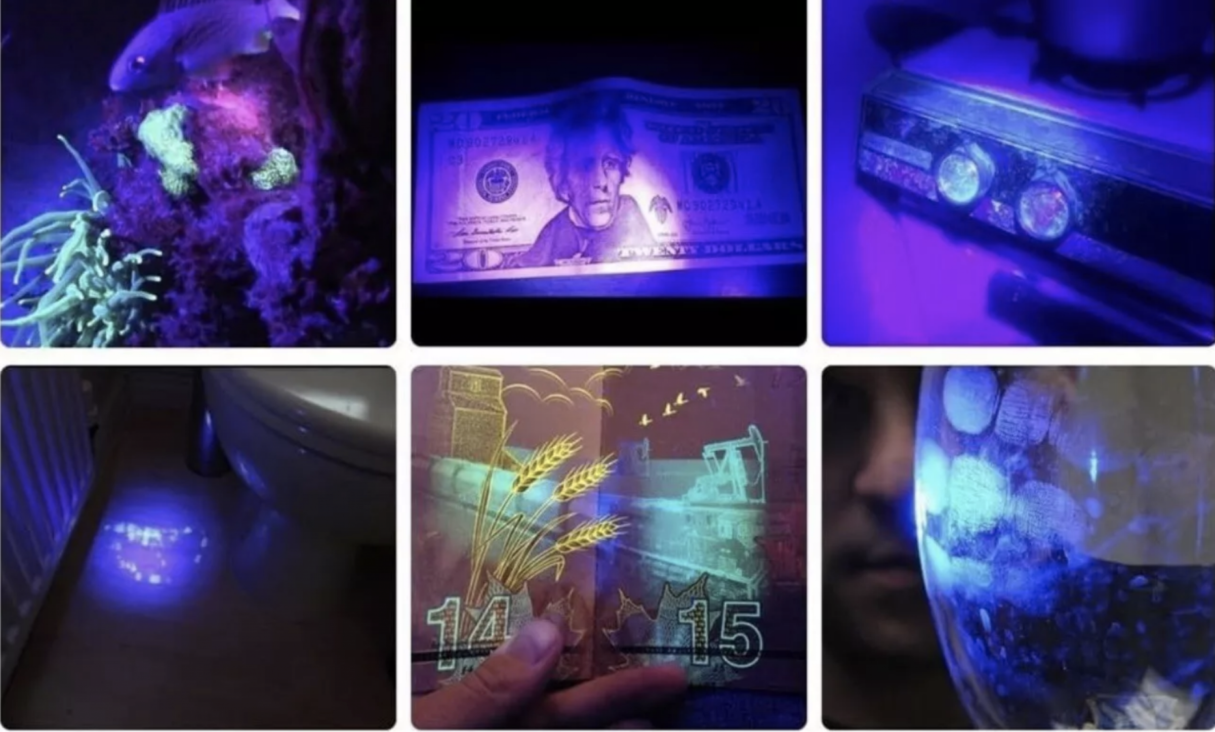 UV Check UV 365 nm